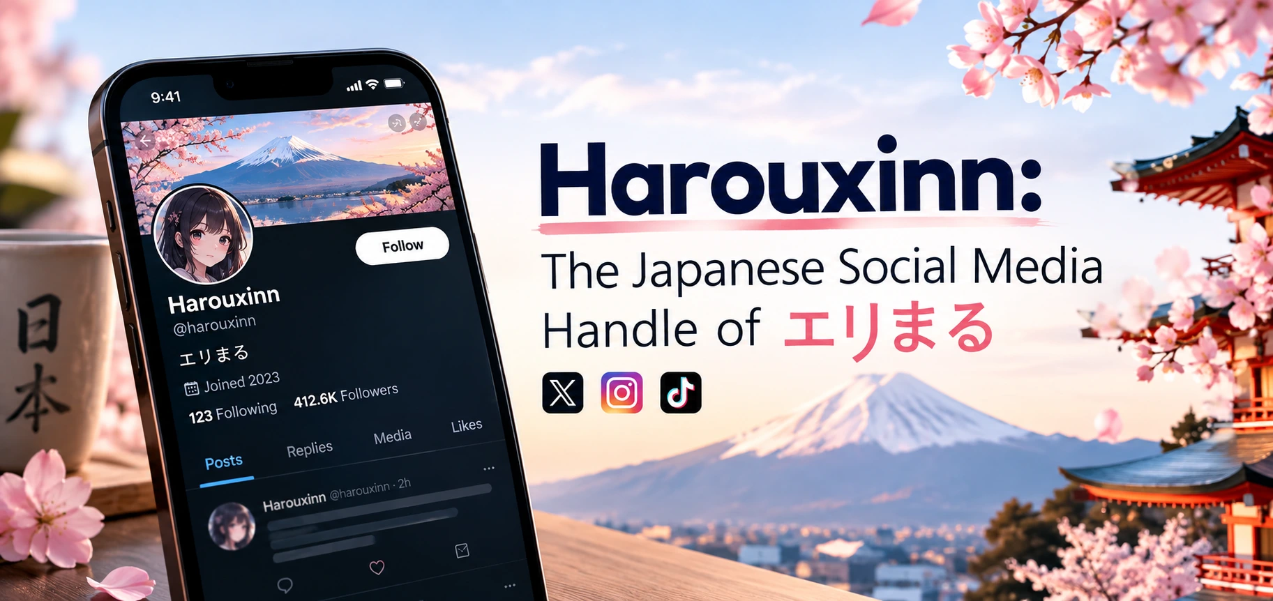 Harouxinn: The Japanese Social Media Handle of エリまる